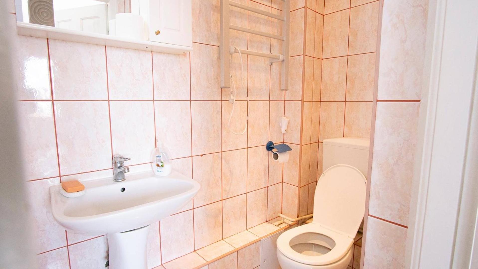 Piata Victoriei- 1 Room Apartment Timisoara Exterior foto