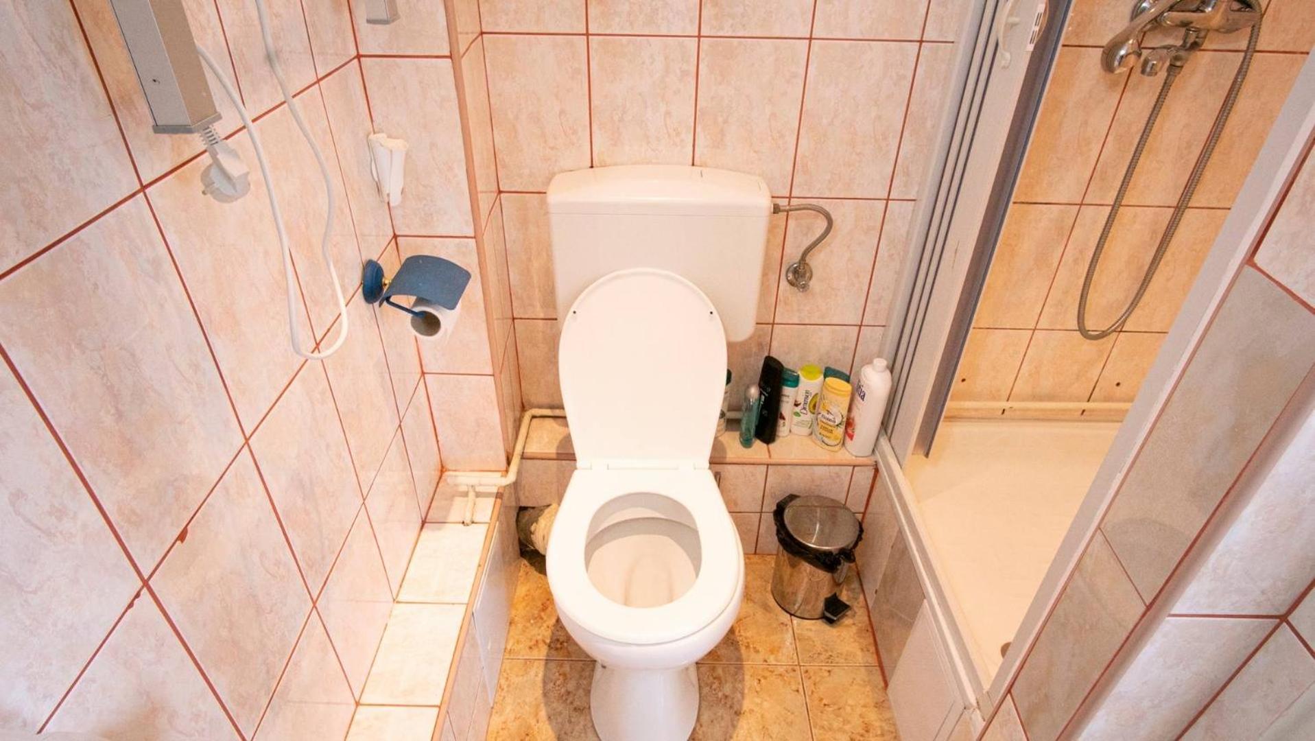 Piata Victoriei- 1 Room Apartment Timisoara Exterior foto