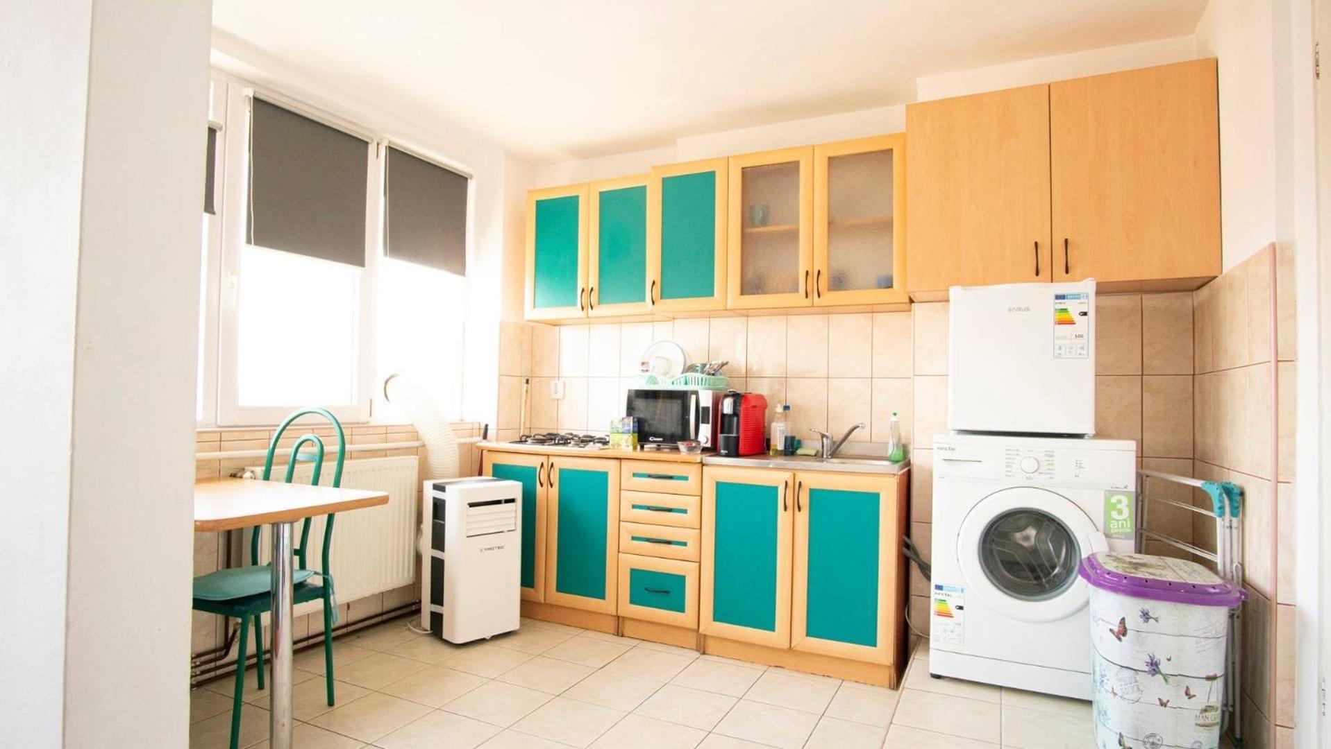 Piata Victoriei- 1 Room Apartment Timisoara Exterior foto